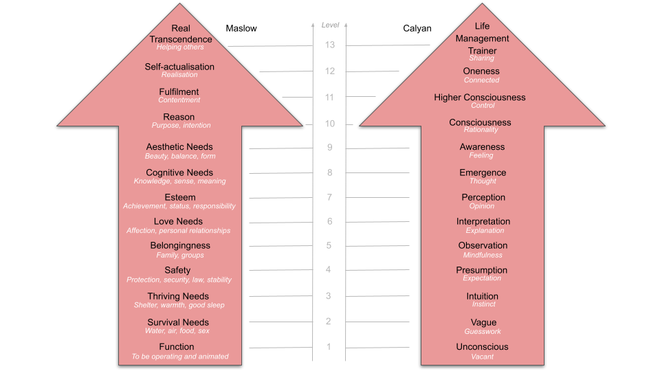 Maslow and Calyan hierarchies